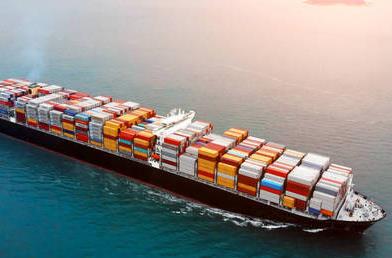 深圳海運的未來發展趨勢如何？